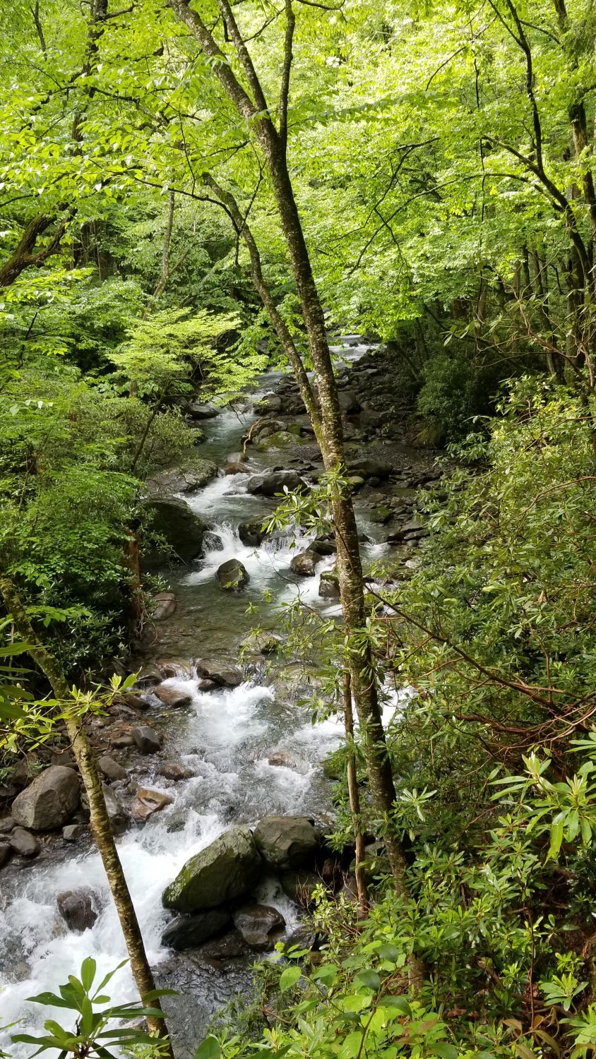 Porters Creek to Fern Falls 